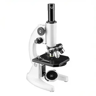 Microscope